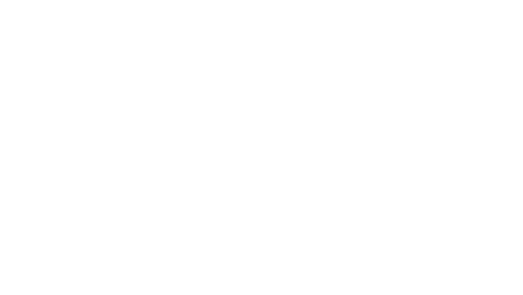 Blidz Dokha